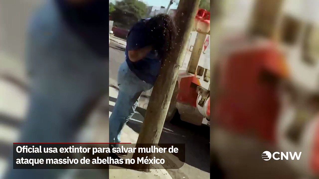 Exército usa extintor para salvar mulher de ataque massivo de abelhas no México
