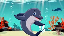 Dancing Dolphin