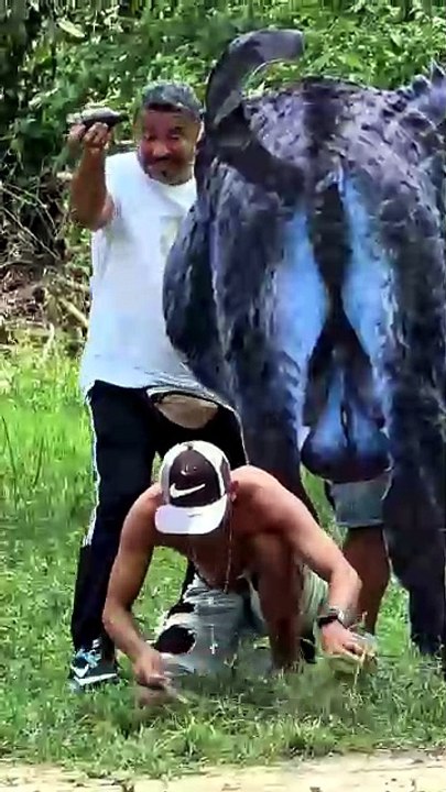 New Funny video Clips part p1 April 2026