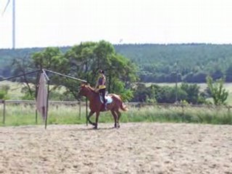 Aurelsacrasaut
