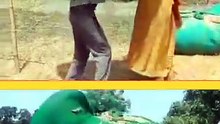 wow good salute