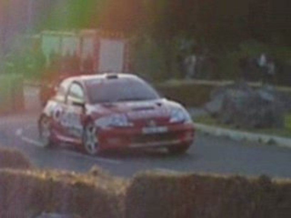 Guebey Peugeot 206 WRC rallye Limousin 2008 Ester