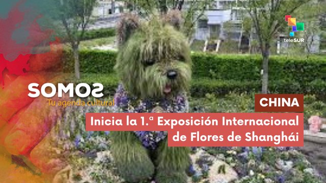 SOMOS | China | Inicia la 1.ª Exposición Internacional de Flores de Shanghái 20-04-2026