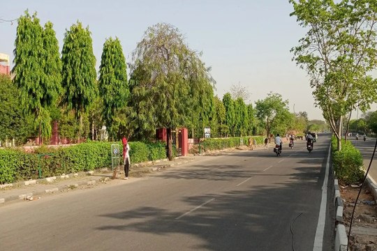 Rajasthan Weather : जयपुर में रात का तापमान फिर बढ़ा, दिन में गर्मी के तीखे तेवर, धूप कर रही परेशान