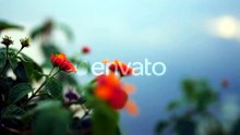 Beautiful Orange Flowers Blooming in Tropical Environment