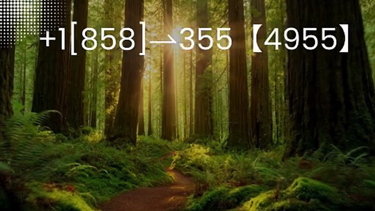 //\\.//\\{{Connect©}} of 『Coinbase CUSTOMER®』 SERVICE© CARE℗ NUMBERS TOLL FREE NUMBER: Easy Step by Step Guide