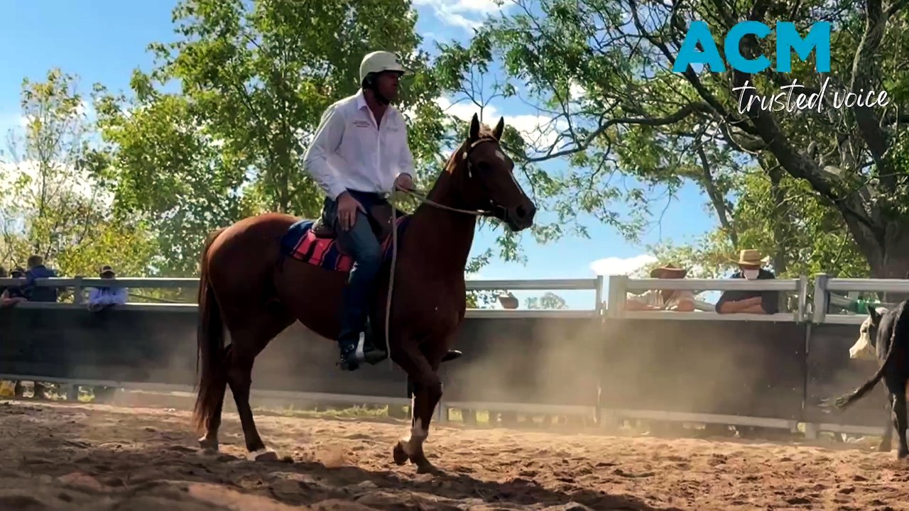 The subtle art of the ‘shhh’ that steers a beast during regional campdraft