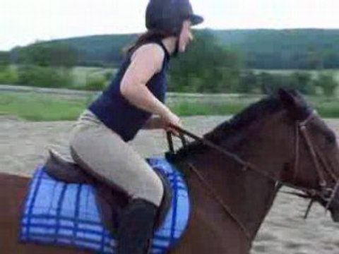 Stephanie obstacle grande carriere