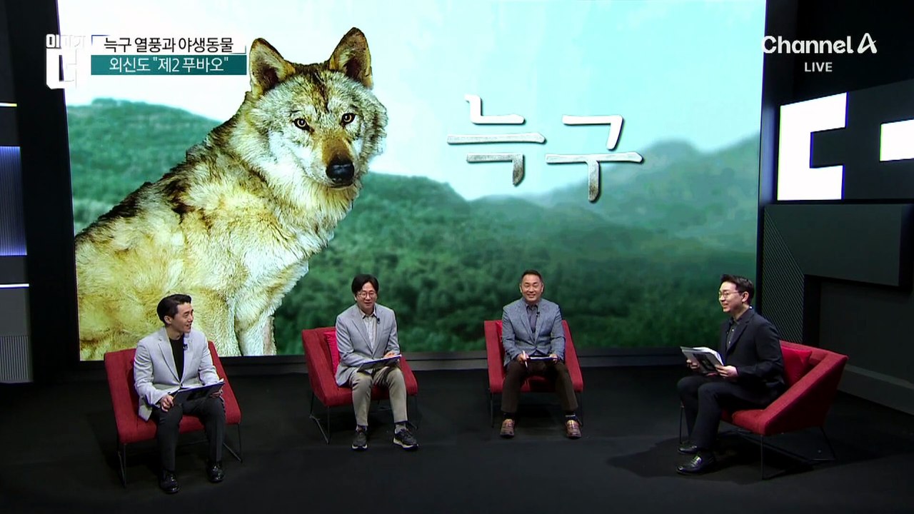 아무도 몰랐던 늑구 출생의 비밀