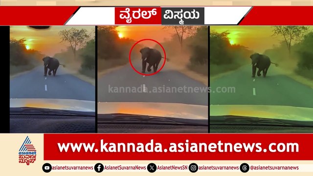 ಕಾರ್​ ಮೇಲೆ ದರ್ಪ ತೋರಿ ಕಾಲ್ಕಿತ್ತ ಗಜರಾಜ..! ಕೂದಲೆಳೆ ಅಂತರದಲ್ಲಿ ಅಪಾಯದಲ್ಲಿದ್ದವರು ಬಚಾವ್..!