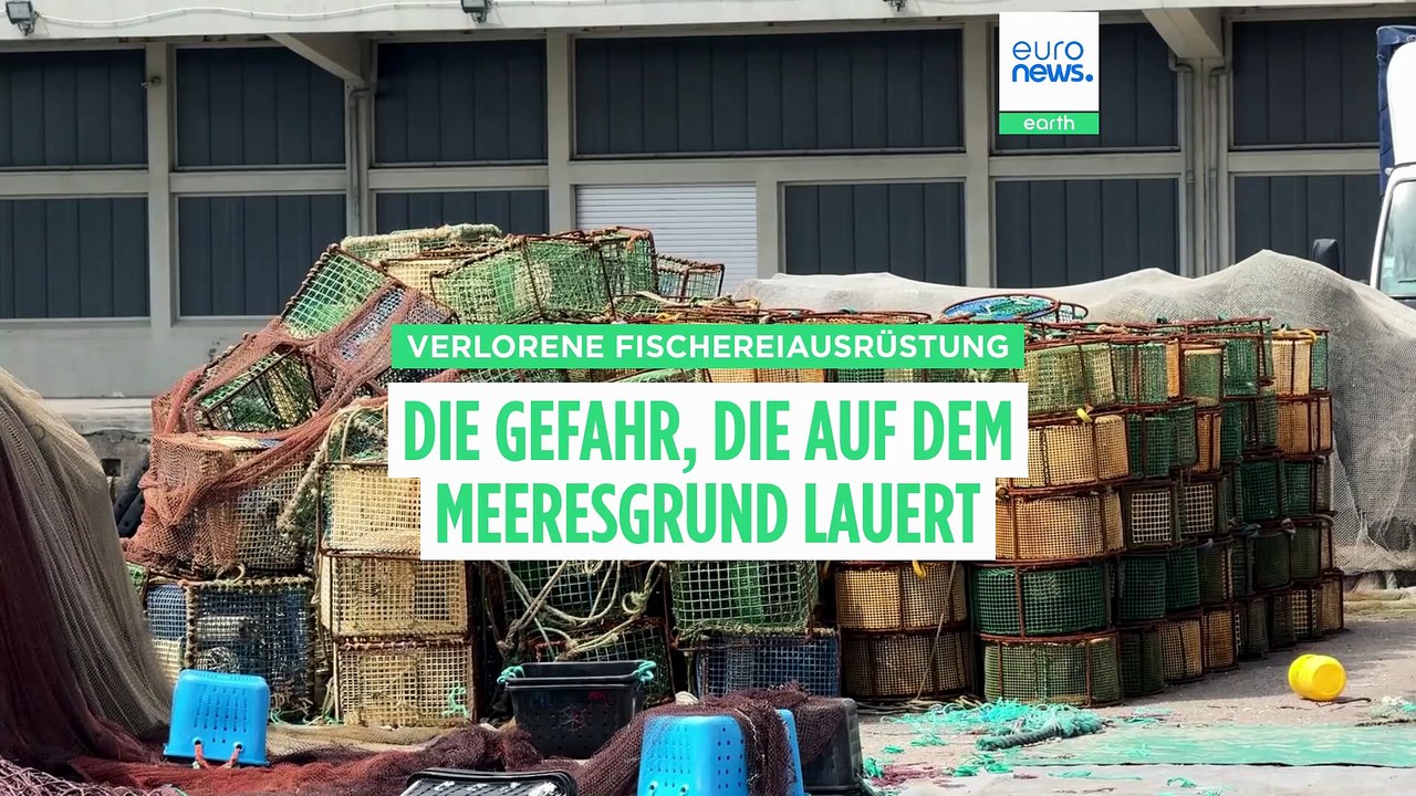 Unsichtbare Gefahr: Geisternetze machen Ozeane zu Todesfallen