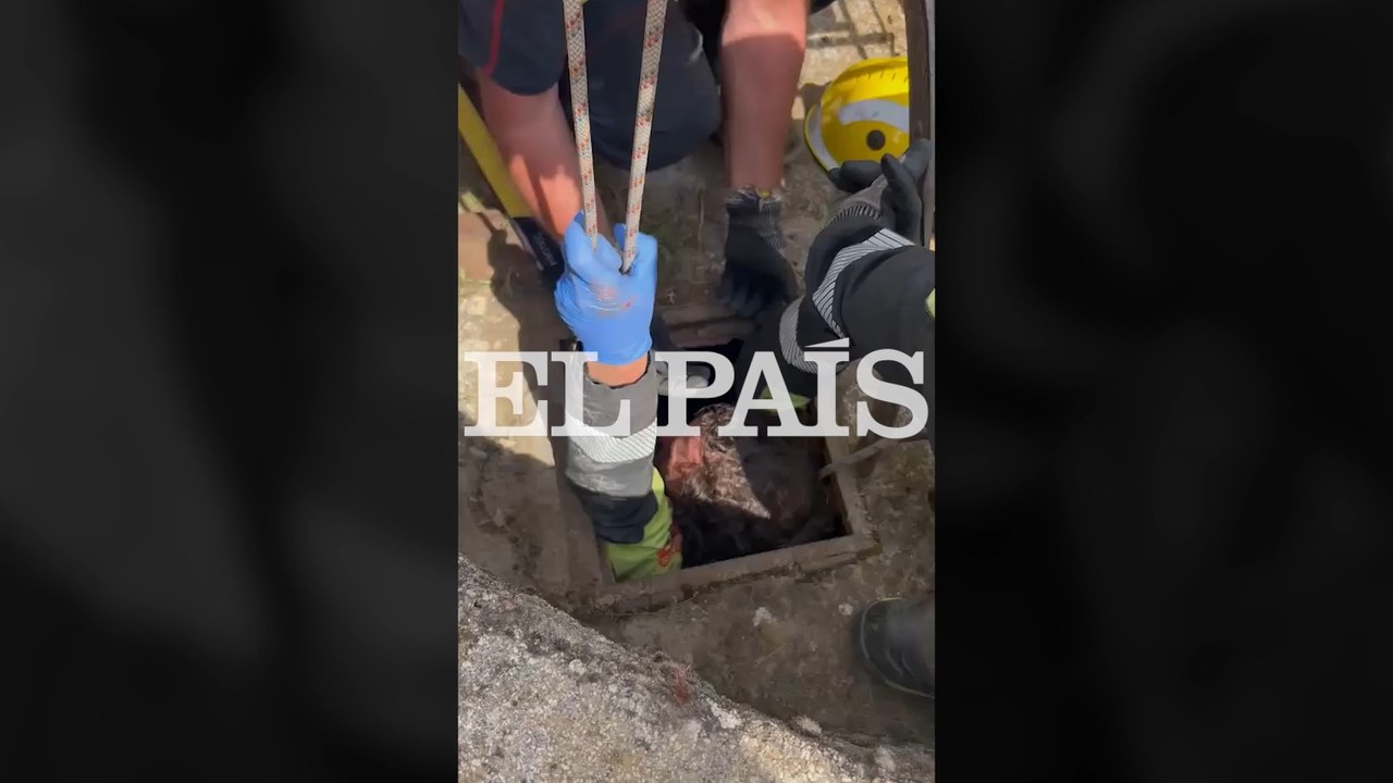 Así fue el rescate del menor de tres años que cayó a un pozo de 15 metros de profundidad en el municipio de Tembleque, Toledo