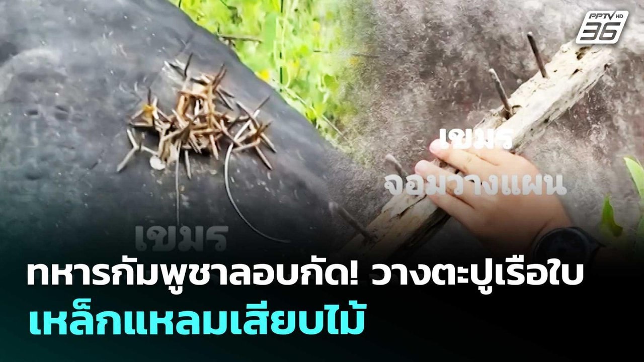 ทหารกัมพูชาลอบกัด! วางตะปูเรือใบเหล็กแหลมเสียบไ...