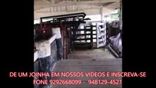 FAZENDA COM 1155 ALQUEIRÃO A VENDA CMC