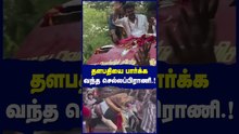 தளபதியை பார்க்க வந்த செல்லப்பிராணி.! தோள்களில் நின்று வாழ்த்து சொன்ன டாமி.!