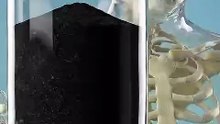 STOP Brushing Your Teeth With Charcoal_(1080P_HD)