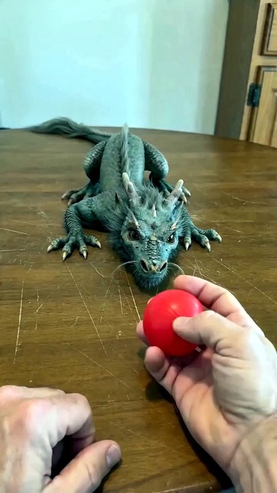 My pet dragon tried to cheat! 🐉 Look at him peeking through his claws... I can’t believe he’s this smart (and sneaky). 🧐