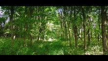 Clarkson's Farm S01E01