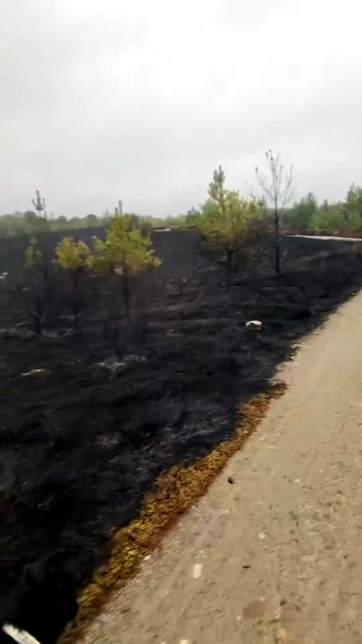 Aviemorefire