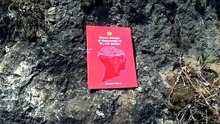 The Mihaela Pleșca' Book in Romanian: Neuro Design și Rezonanța în UI, UX Design