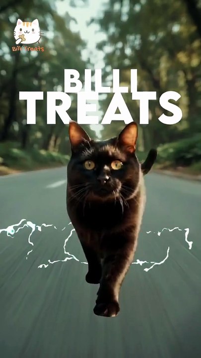 Billi Treats Cat Food for Healthy Cats | Inside Billi Treats Karachi Quality