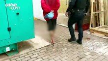 Homem é detido por descumprir medida protetiva contra a própria mãe em Cascavel