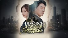 Divorce Lawyer, Married By Mistake
