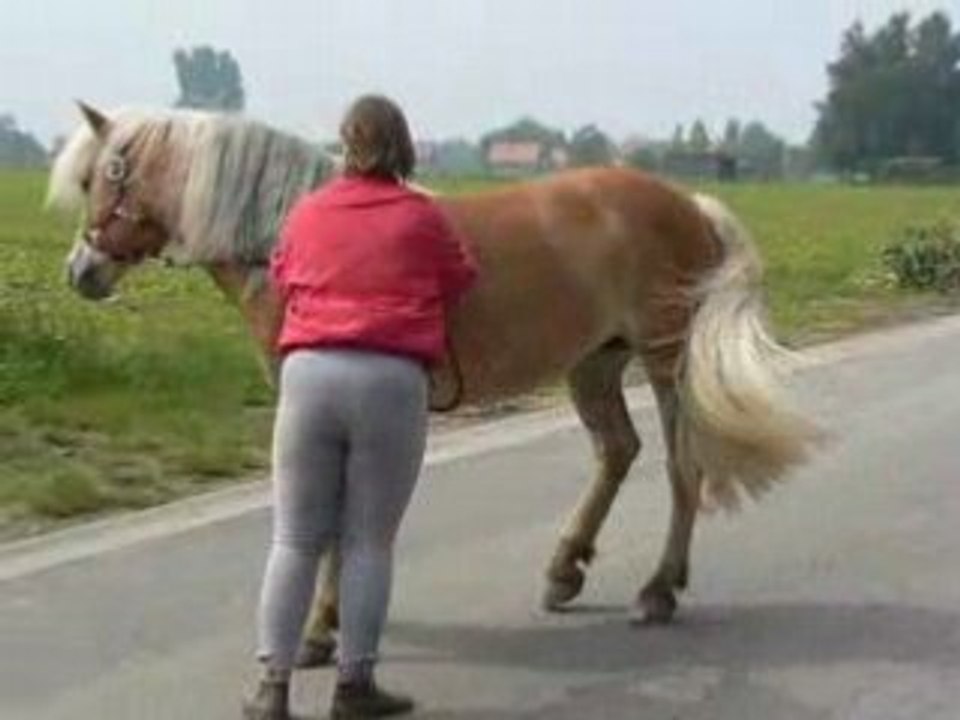 Tepee 2eme séance etho 207