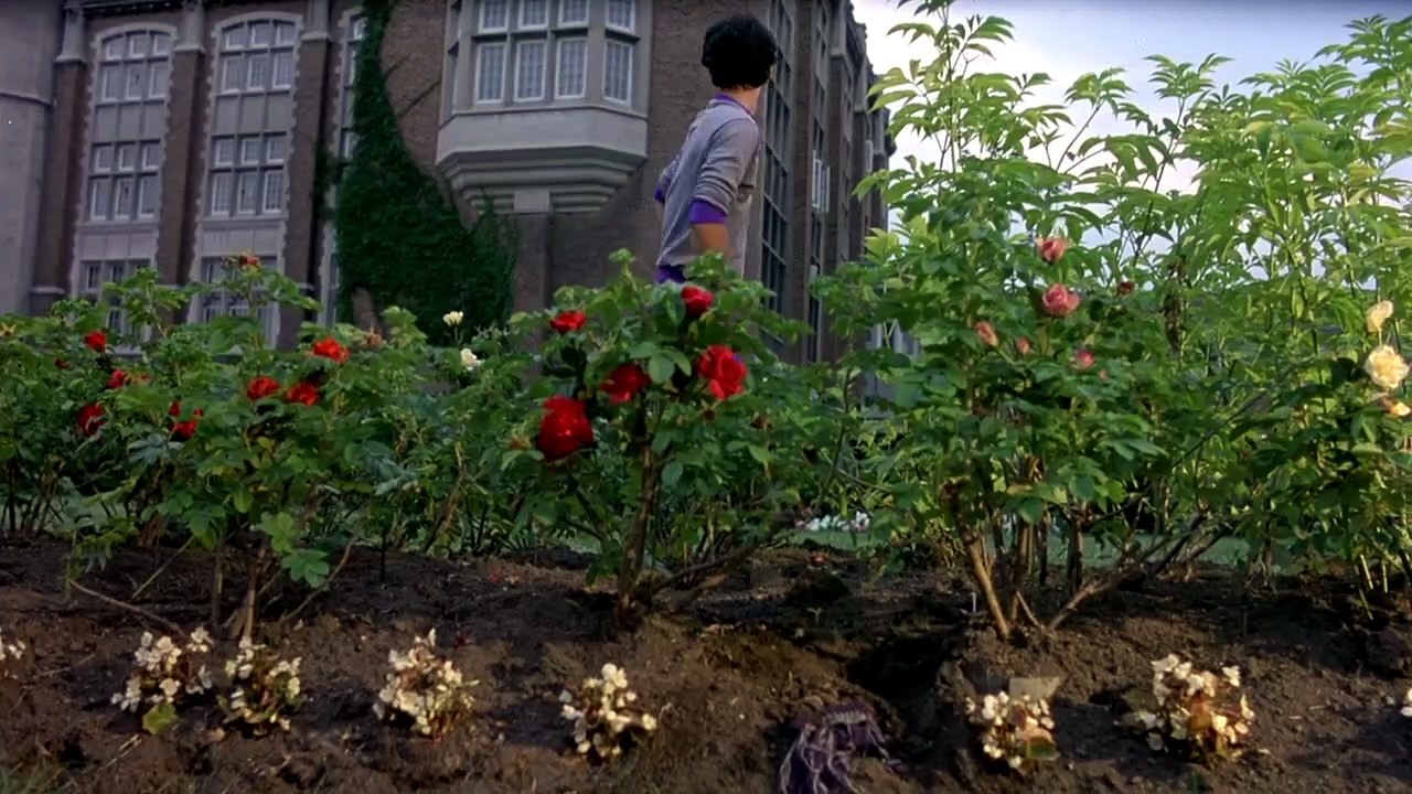 AB IN DIE EWIGKEIT (1981)