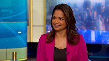 BofA's Subramanian Sees a Moment to Weigh Positive, Negative Surprises