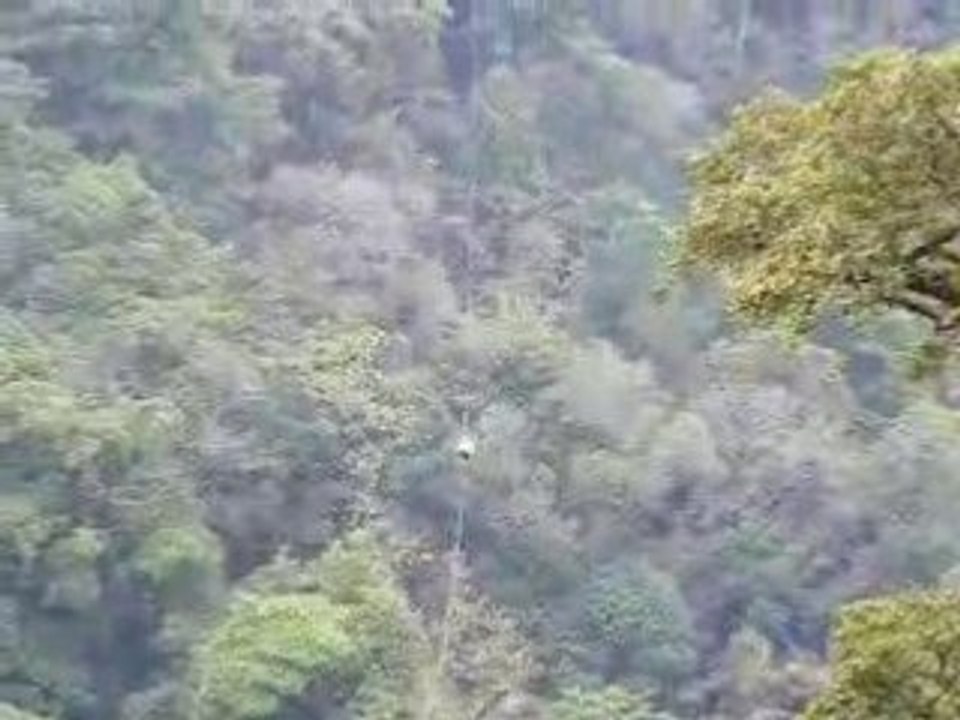 costarica tyrolienne