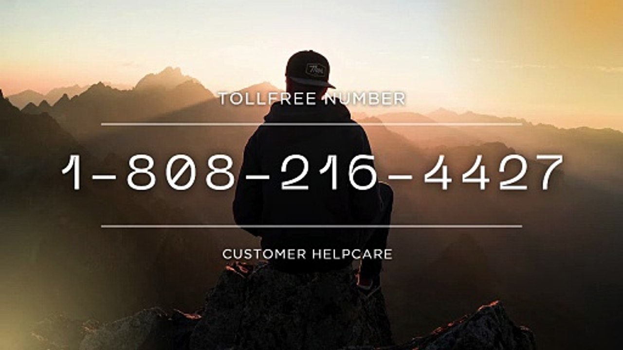 What is the number for Trust Wallet support Official Login