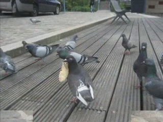 Journée avec Lulu&Loulou&Lisoo&Anaïs