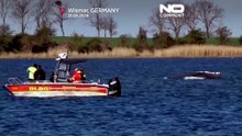 Горбатый кит Тимми по-прежнему застрял на мели у побережья севера Германии