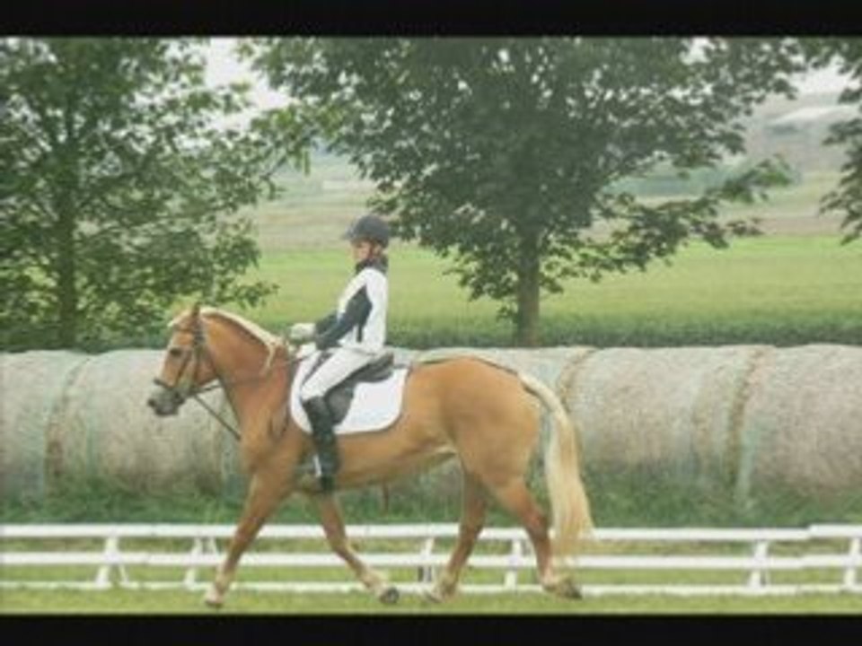 Mon premier CCE à Sancourt