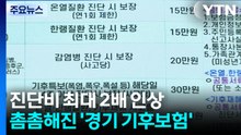 진단비 최대 2배 인상...더 촘촘해진 '경기 기후보험' / YTN