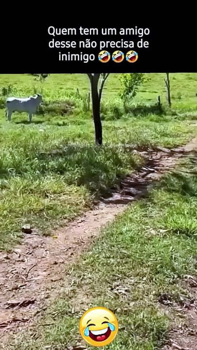 Quem tem um amigo desse não precisa de inimigo 🐮🐮🐮🐮😕🤣🤣🤣 #omelhorsoaoscomentarios #engraçado