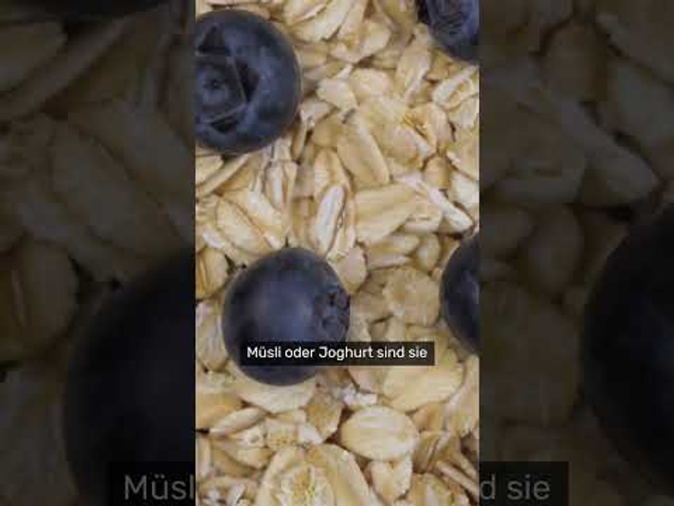 Schokolade für den Kreislauf: Welche Lebensmittel Sie regelmäßig zu sich nehmen sollten