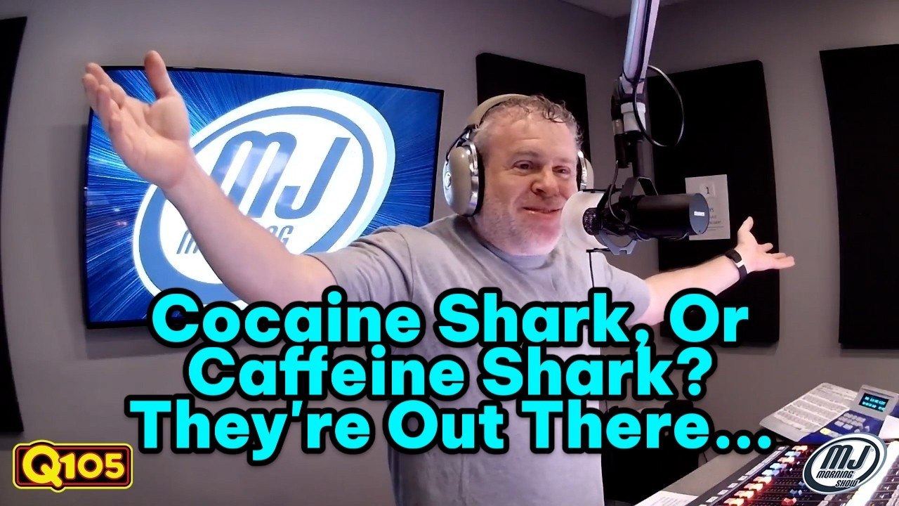 Wait, Sharks Have WHAT In Their Bodies? The Truth Behind Cocaine Sharks