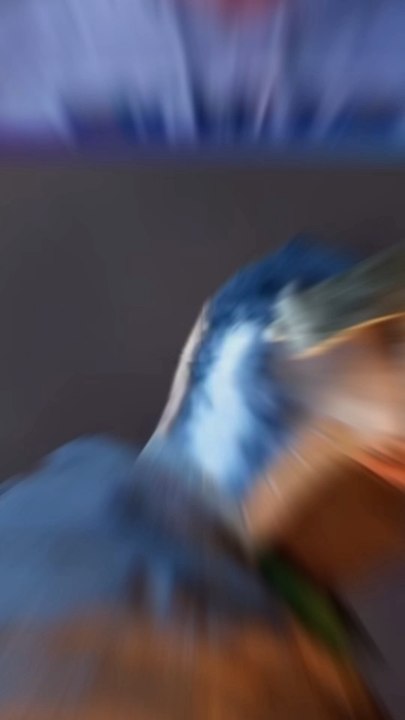 J’essai de trouver des qualités au jeu (c’est pas facile) 🤫