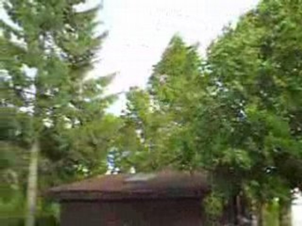PICT0002