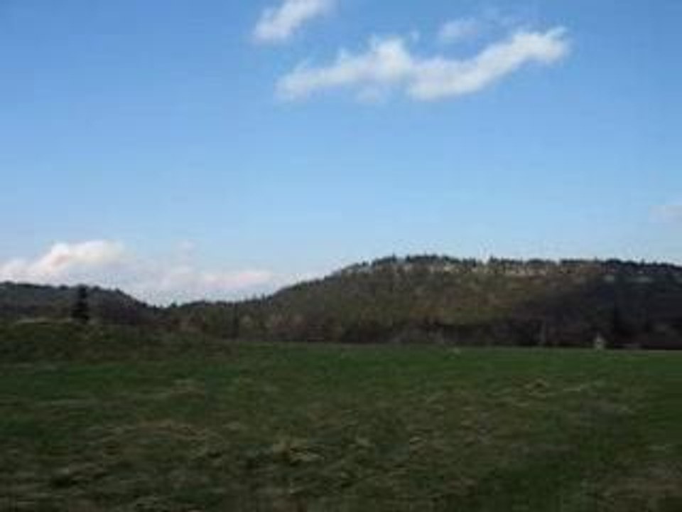 MVI_2995