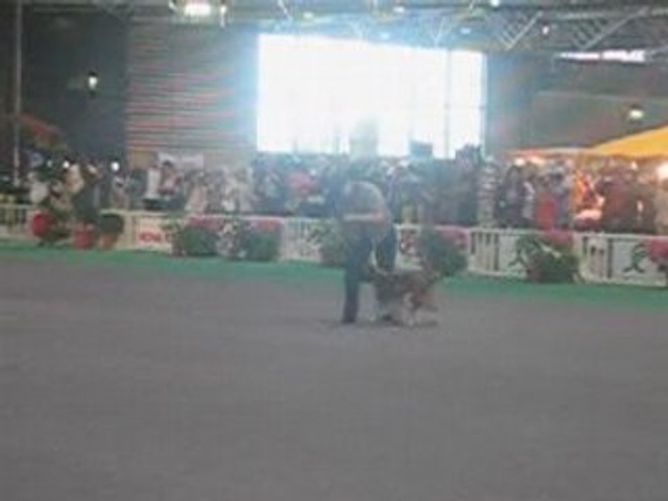 championnat lyon