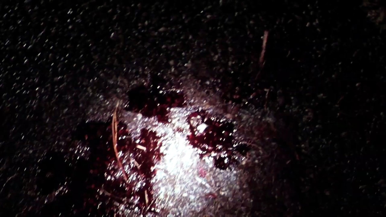 Masters of Horror: Incident On and Off a Mountain Road Trailer Remastered HD