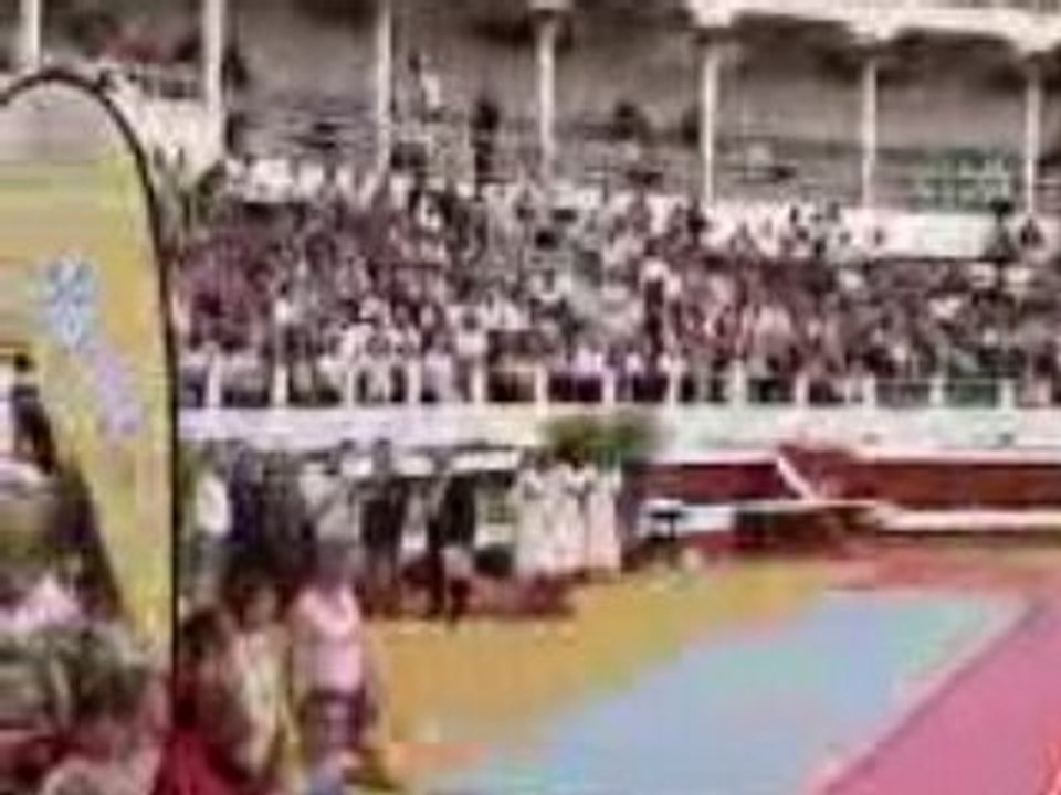 démonstration 2 de Gymnastique masculine a Dax - Fédéraux