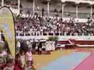 démonstration 2 de Gymnastique masculine a Dax - Fédéraux