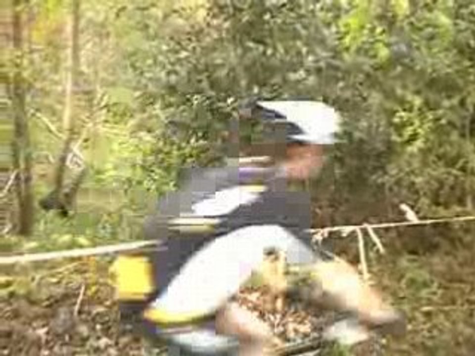 Mesnil Réaume 002 par Gratien