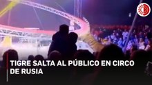 Tigre salta al público en circo de Rusia