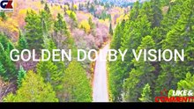 GOLDEN DOLBY VISION