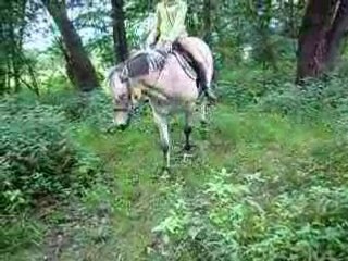 Héhé, on gère hin :)